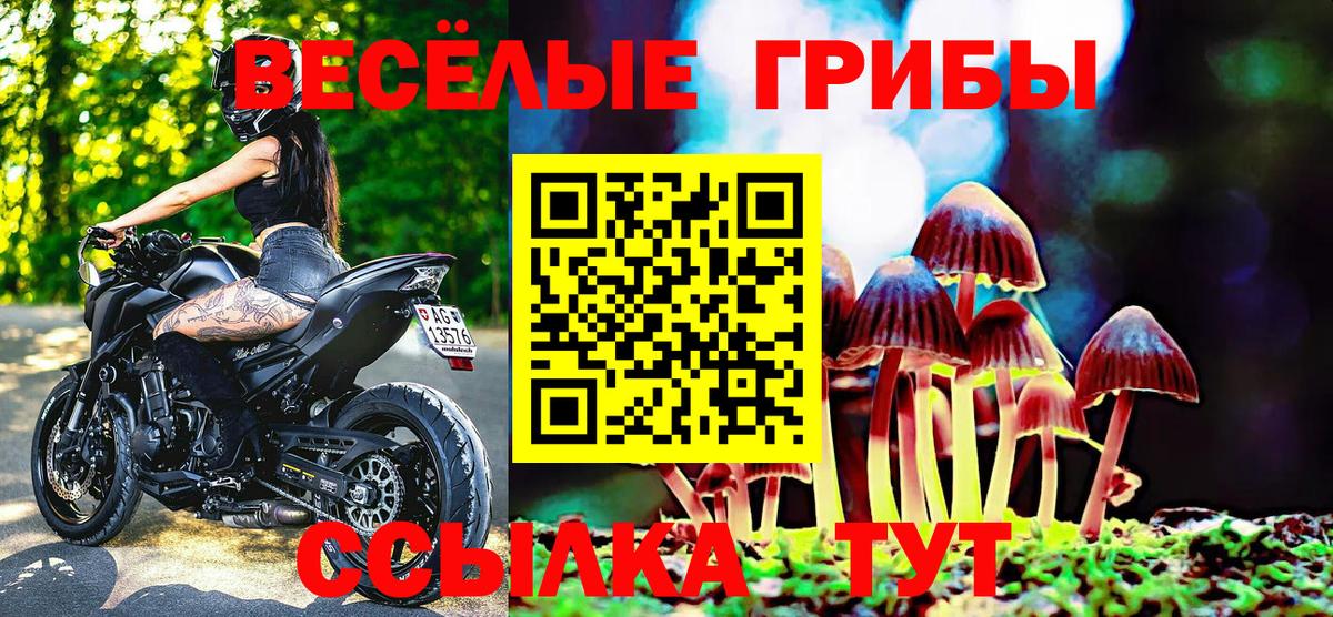 Галлюциногенные грибы мухоморы Елабуга