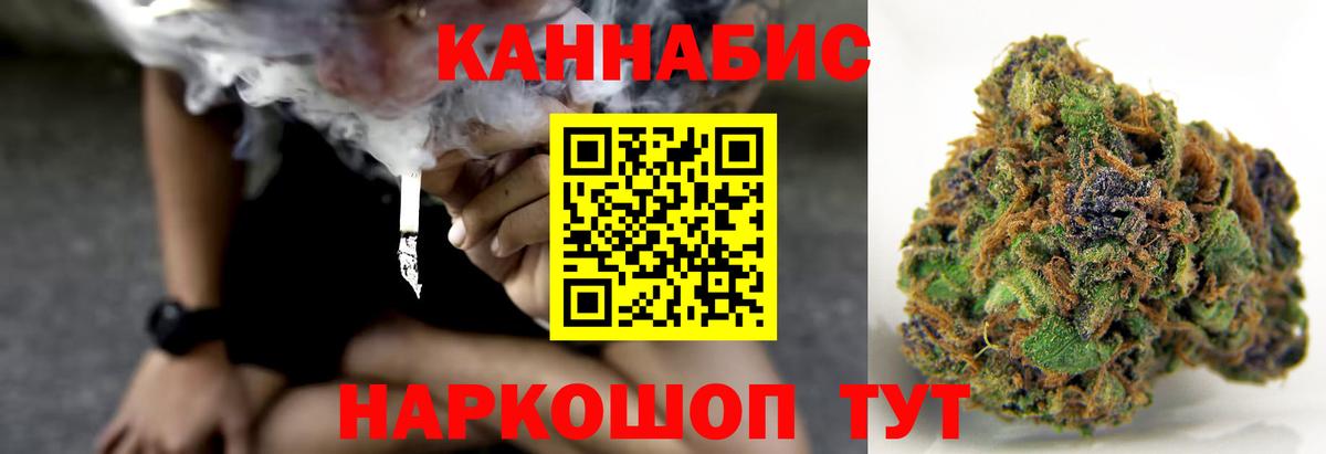 Марихуана тримм  Вход с VPN  Шишки марихуана индика  Бошки Шишки план  Елабуга 